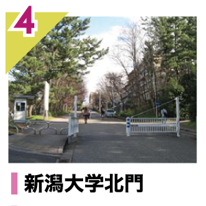 新潟大学北門